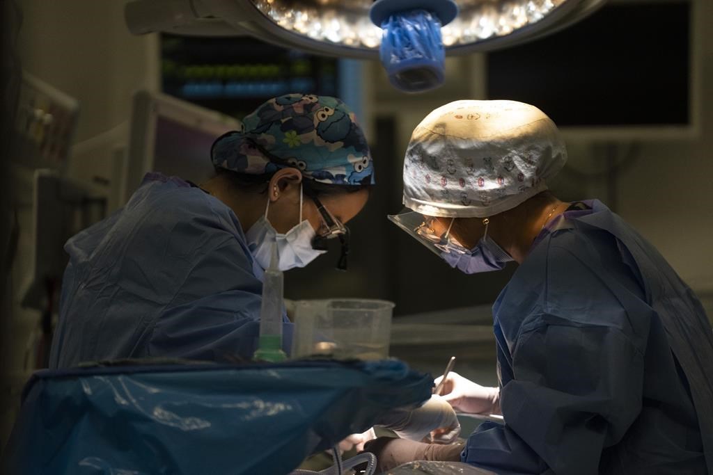 Le Québec compte 210 médecins actifs de plus que l’an dernier
