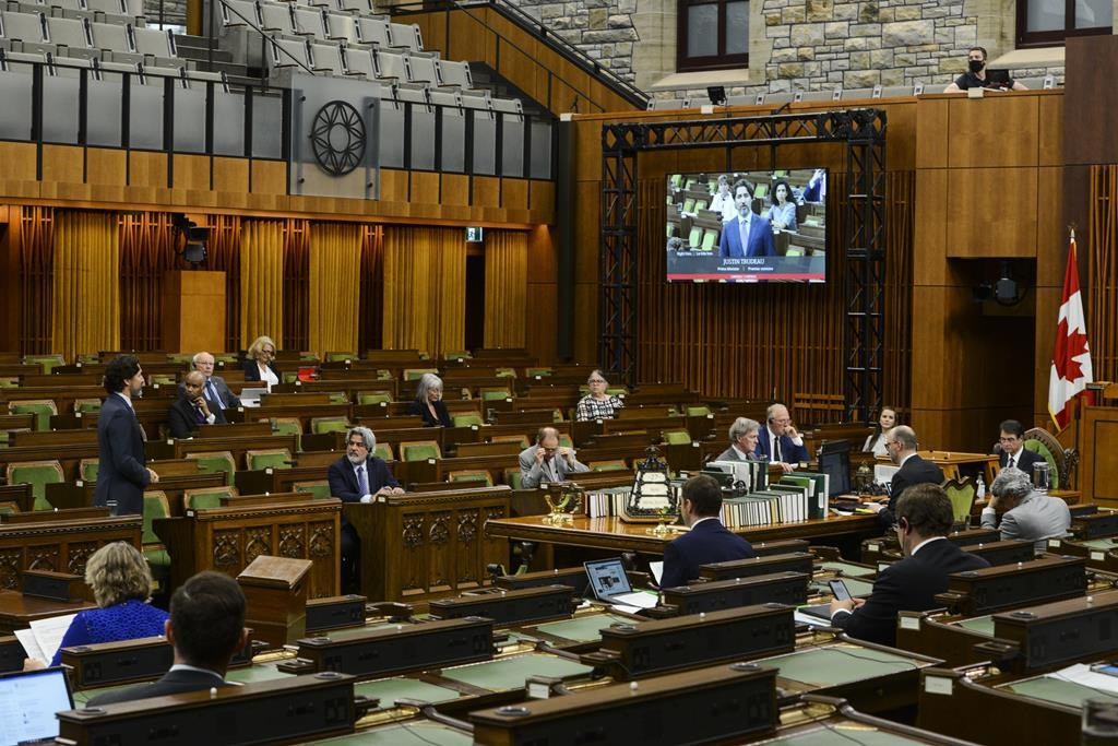 Le Parlement hybride devrait rester, sauf pour les ministres, selon un rapport