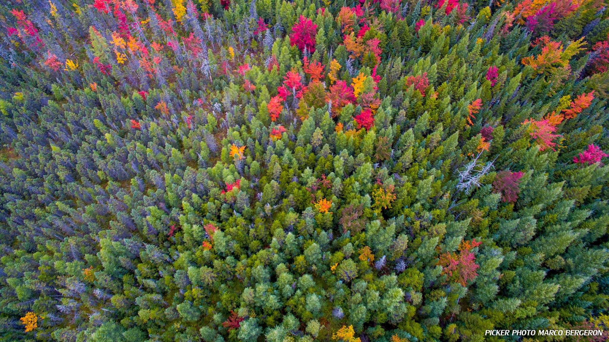 Flambée des couleurs MagogOrford les couleurs à leur apogée Le