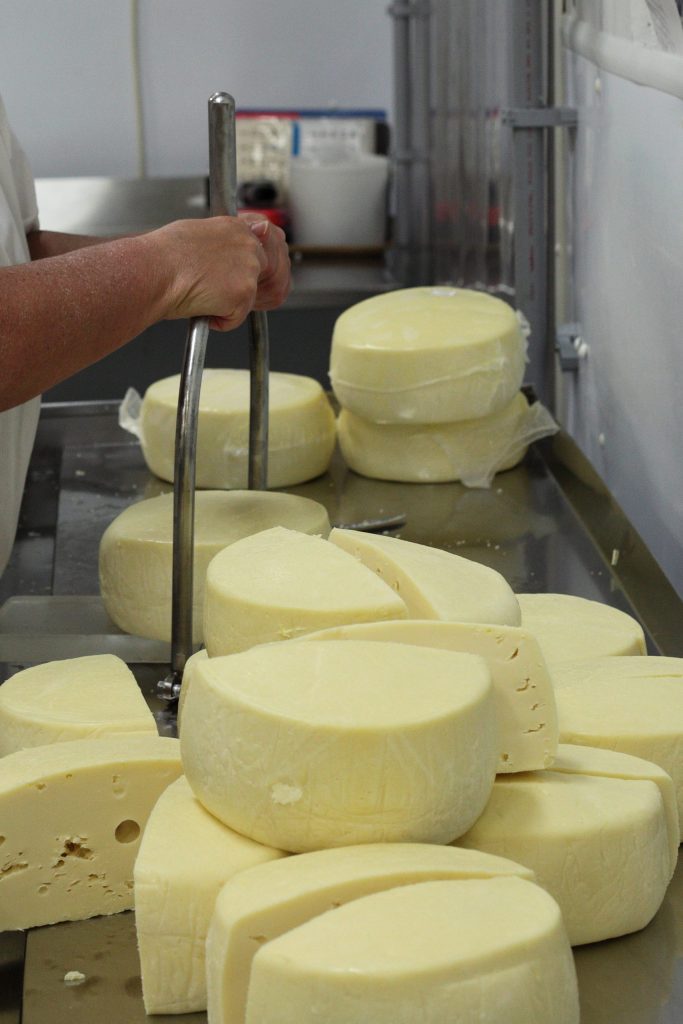 Le fromage Mont SaintBenoît titille toujours les papilles Le Reflet