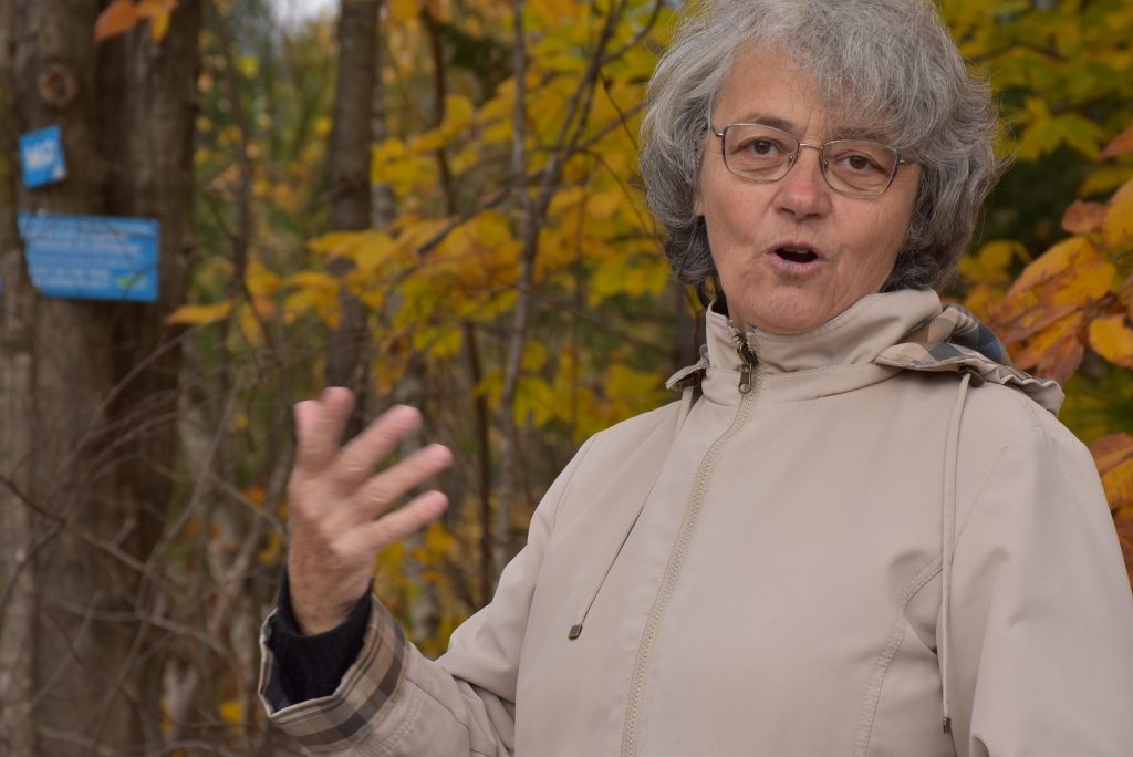 Les taxes augmenteront entre 3 et 4 à BoltonEst Le Reflet du Lac