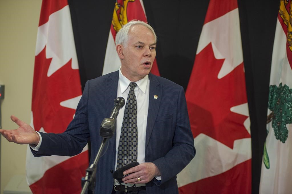 Élections le Parti vert de l'ÎleduPrinceÉdouard n'était pas prêt Le Reflet du Lac